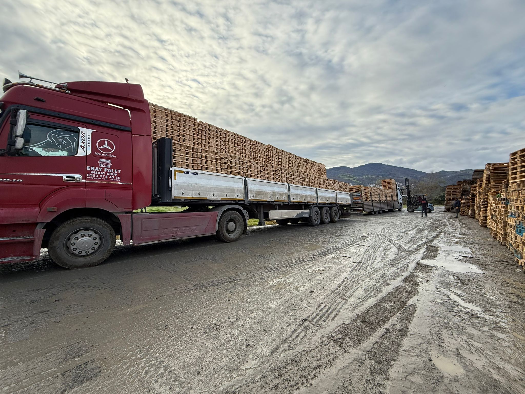 Kavak’ta Depolama ve Lojistik İçin Euro Palet Çözümleri